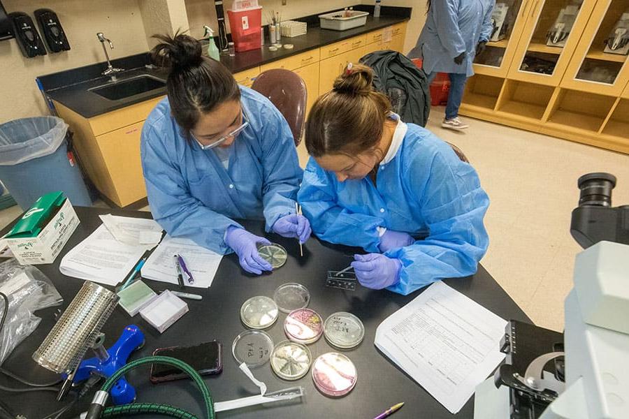 Two San Juan College students preparing samples in the biology lab